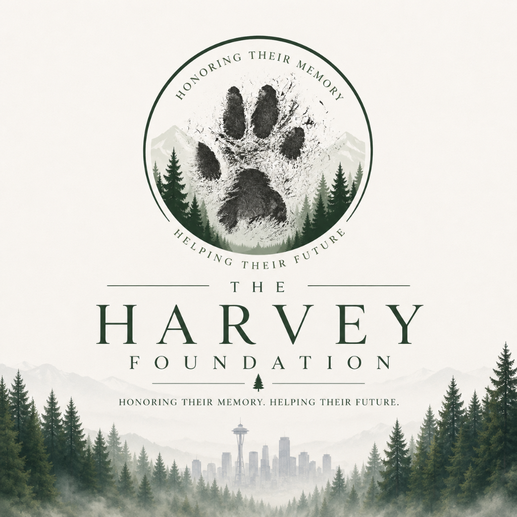 The Harvey Foundation